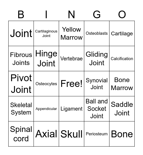 Skeletal System Bingo Card