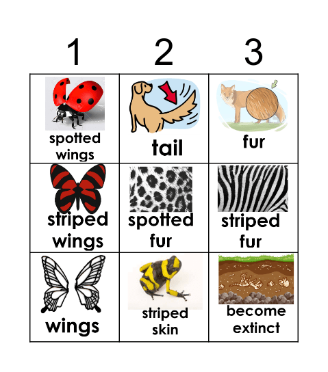 ANIMAL DESCRIPTION Bingo Card