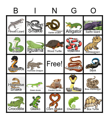 Reptiles (pictures) Bingo Card