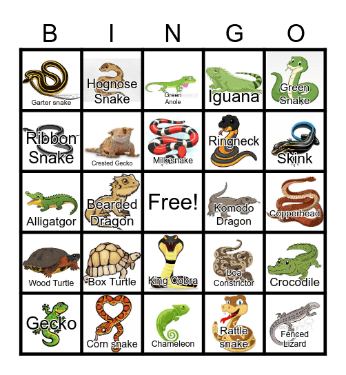 Reptile Bingo Card