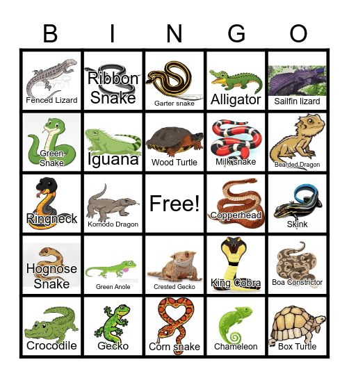 Reptiles (pictures) Bingo Card
