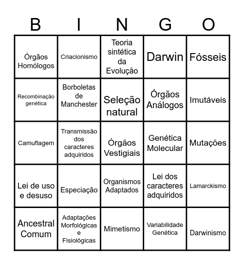 EVOLUÇÃO Bingo Card