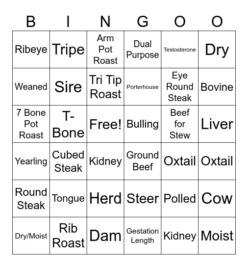 BEEF Bingo Card