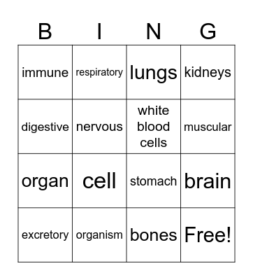 Organ systems Bingo Card