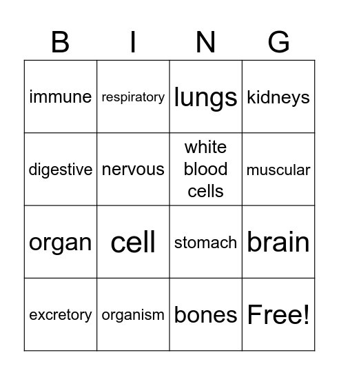 Organ systems Bingo Card