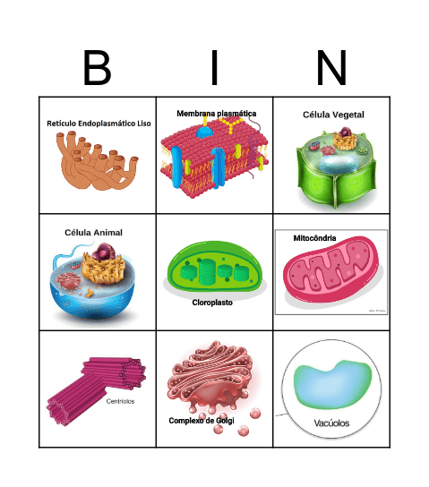 Bingo Celular Bingo Card