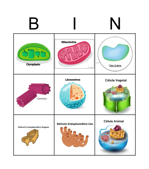 Bingo Celular Bingo Card