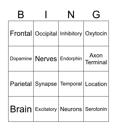 Neurotransmission Bingo Card