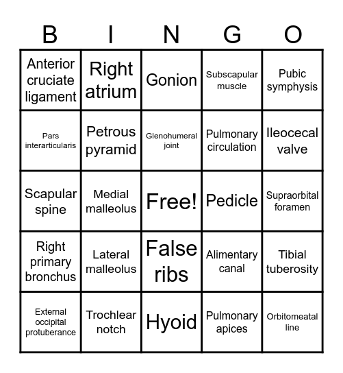 Bony Bingo Card