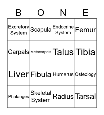 Bones Bingo  Bingo Card