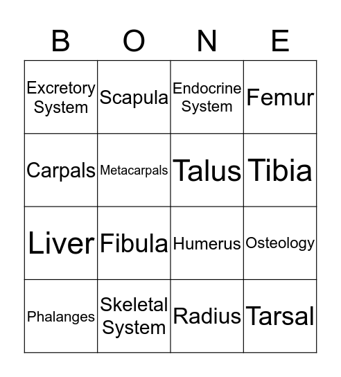Bones Bingo  Bingo Card