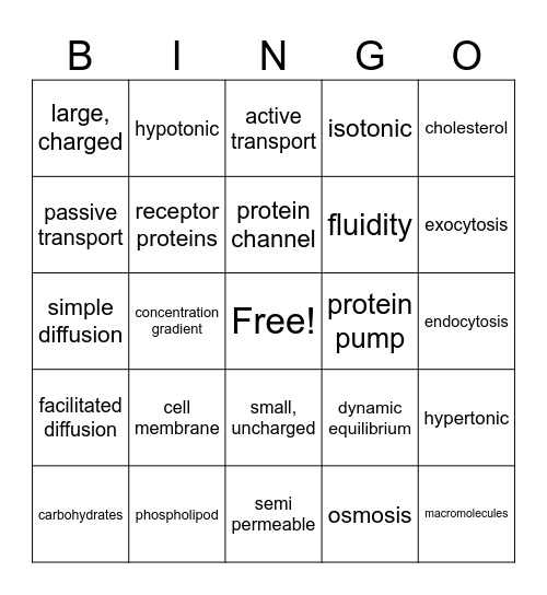 CELL PROCESSES Bingo Card