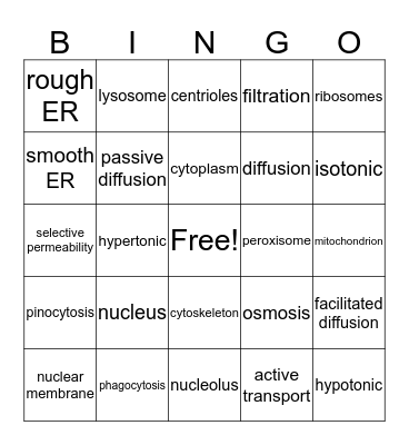 Cell Parts and Permability Bingo Card