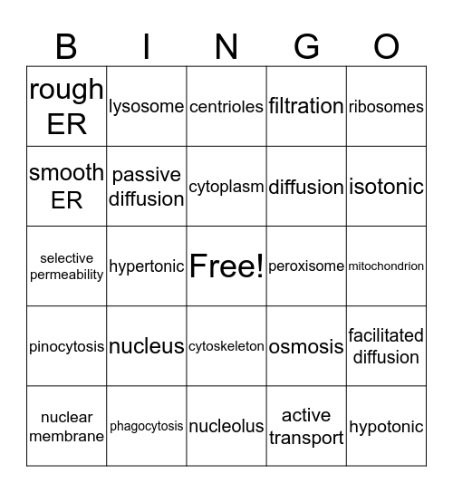 Cell Parts and Permability Bingo Card