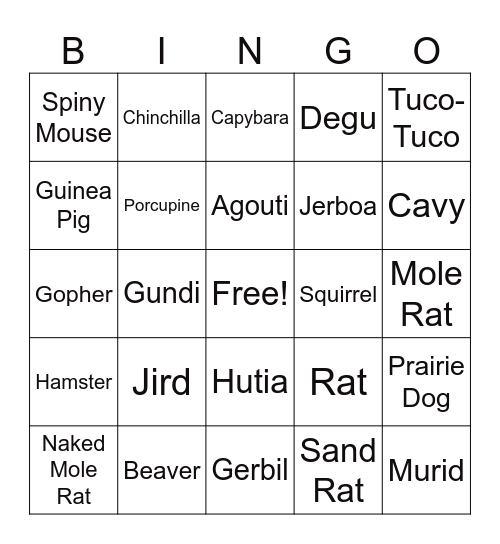 Rodent Bingo! Bingo Card