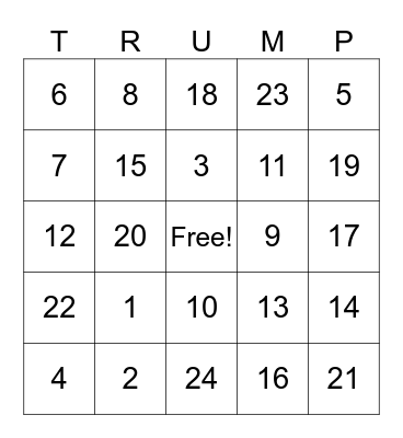 4 Years of Trump Bingo Card