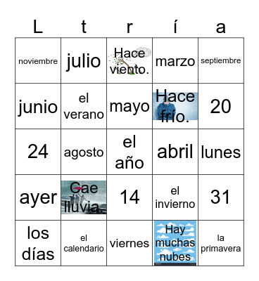 Dias, Meses y Estaciones Bingo Card