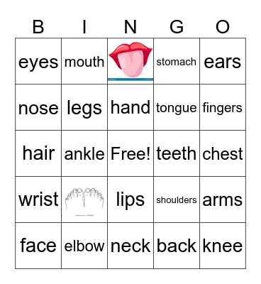 Body Parts Bingo Card