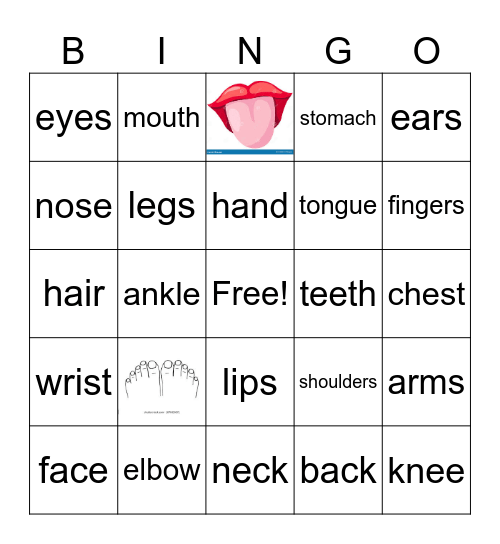 Body Parts Bingo Card