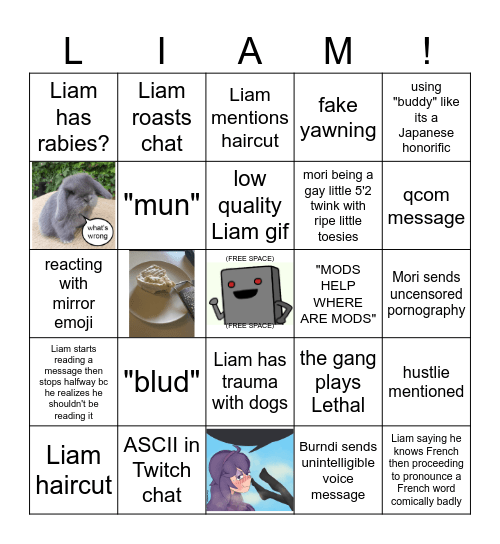 Liamcord Bingo Card