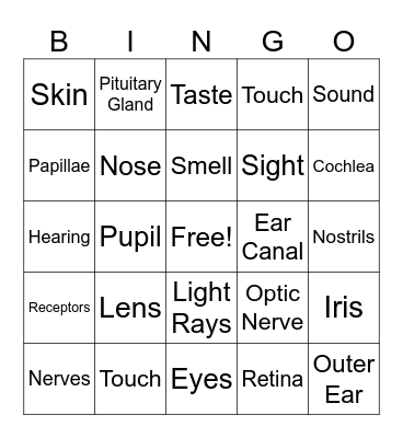 Senses Bingo Card