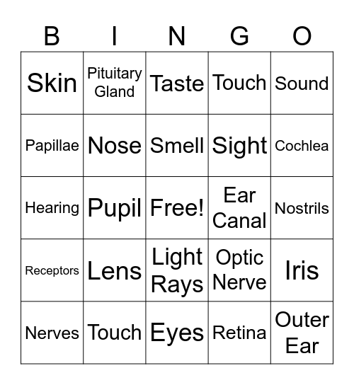 Senses Bingo Card