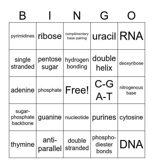 Nucleic acids bingo Card