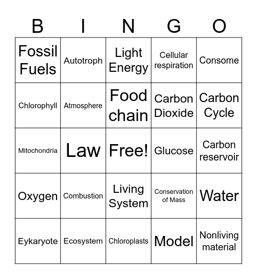 Science Chapter 4 Vocabulary Bingo Card