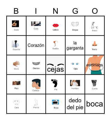 El Cuerpo Bingo Card
