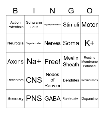 Nervous System Bingo - Honors A&P Bingo Card