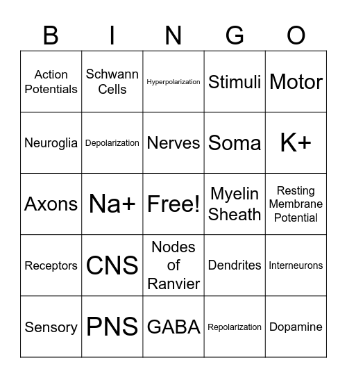Nervous System Bingo - Honors A&P Bingo Card