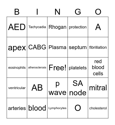 CardioVascular system Bingo Card