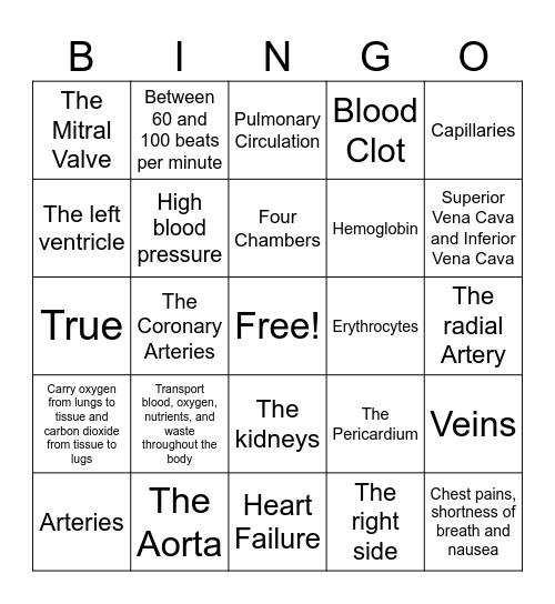 Cardiovascular System Bingo Card