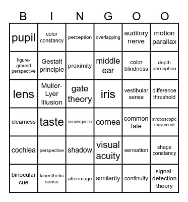 Sensation & Perception Bingo Card