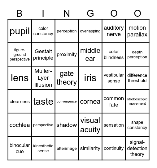 Sensation & Perception Bingo Card