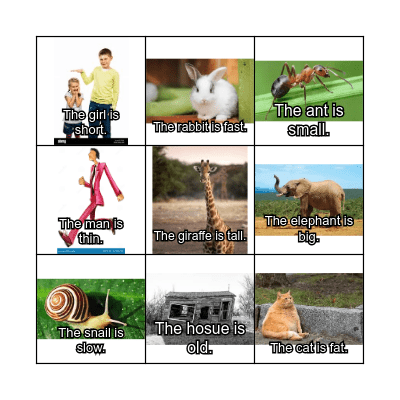 Adjectives Bingo Card