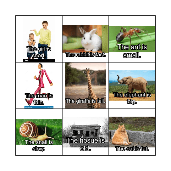 Adjectives Bingo Card