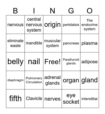 ANATOMY Bingo Card