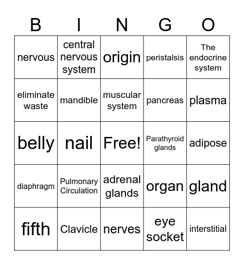 ANATOMY Bingo Card