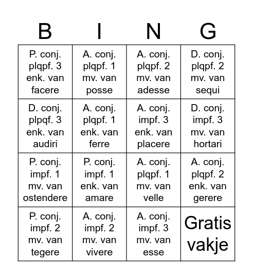 Conjunctief imperfectum en plusquamperfectum Bingo Card