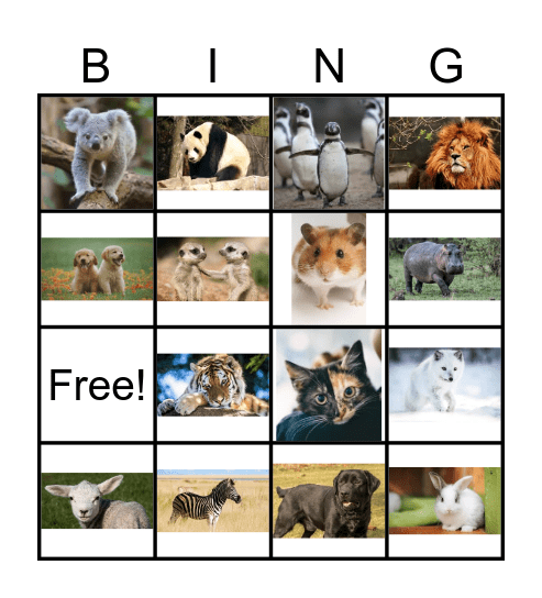 Picture bingo Card