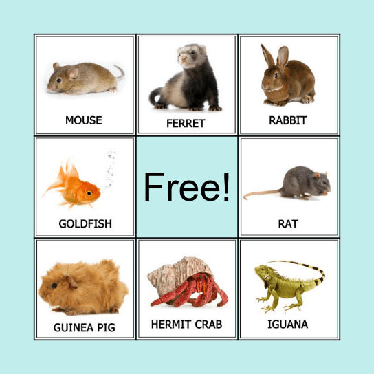 Pet Bingo! Bingo Card