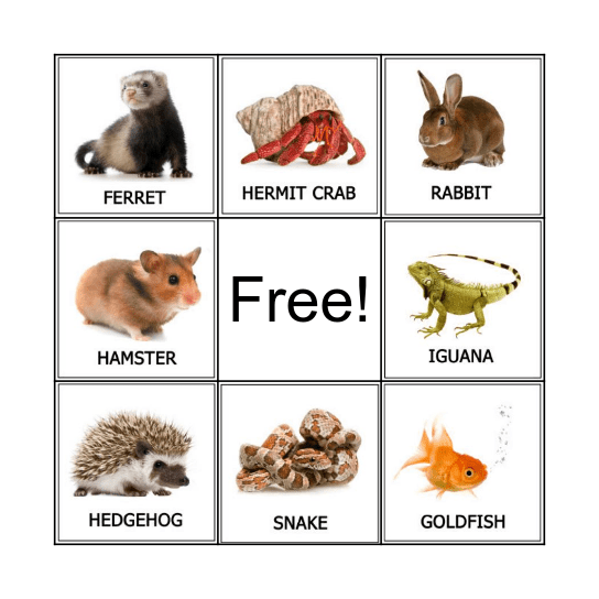 Pet Bingo! Bingo Card