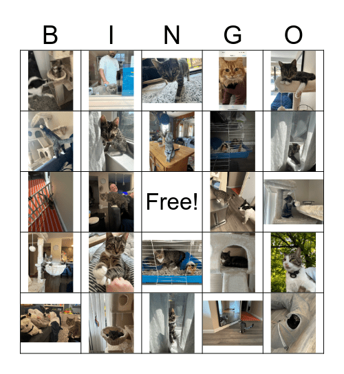 Gelato Bingo Card