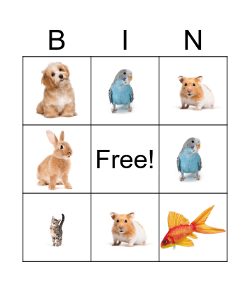 PETS Bingo Card