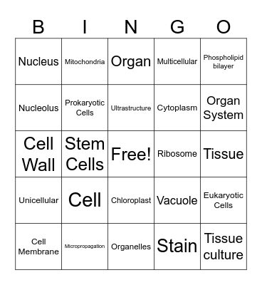 The Cell Bingo Card