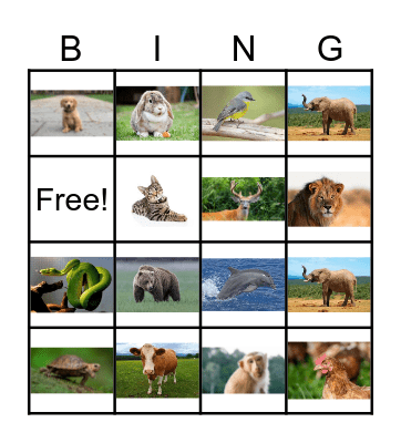 Animals Bingo Card