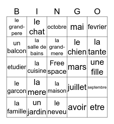 French chapter 4  Bingo Card