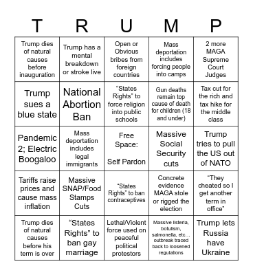 Trump 2nd Term I Told You So Bingo Card