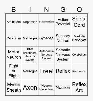 Nerveous system Bingo Card